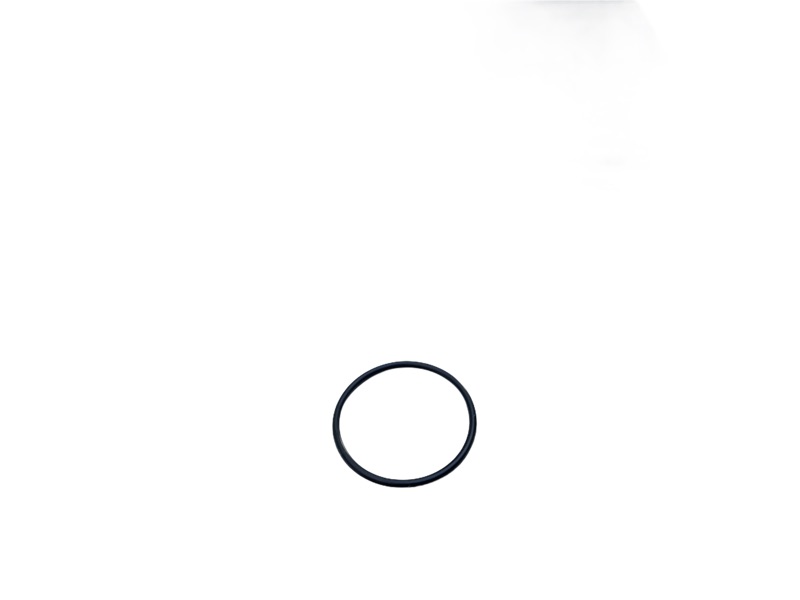 O-Ring für Pulsschlauchadapter 20-149 und 20-158