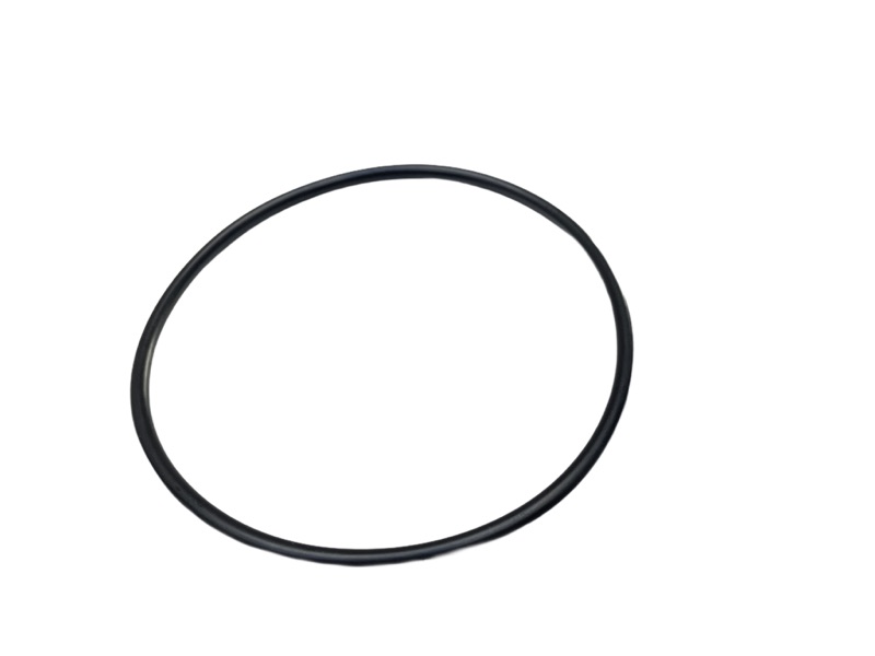 O-Ring für Pumpengehäuse FP 66 (FW 45076 )