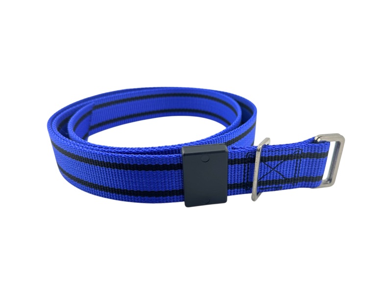Halsband, passend für DL, 1500 mm, blau mit Edelstahl Schlaufen