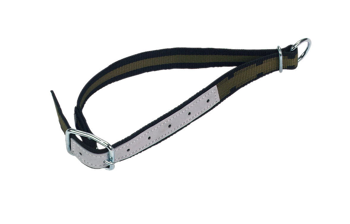 Halsband 100x4 cm, mit Ovalglied und D-Ring