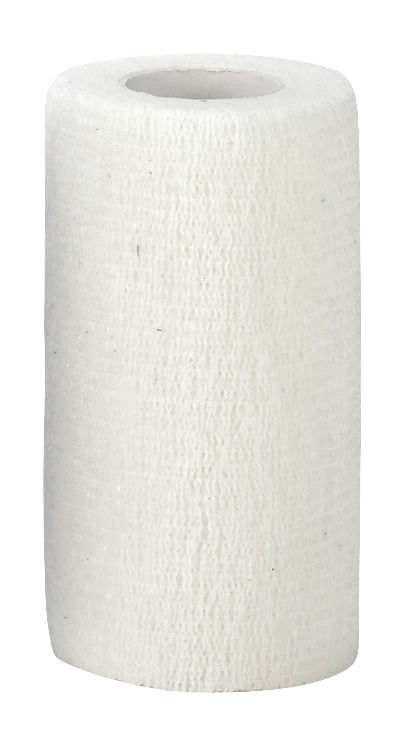 EquiLastic selbsthaftende Bandage, 10 cm breit, weiß