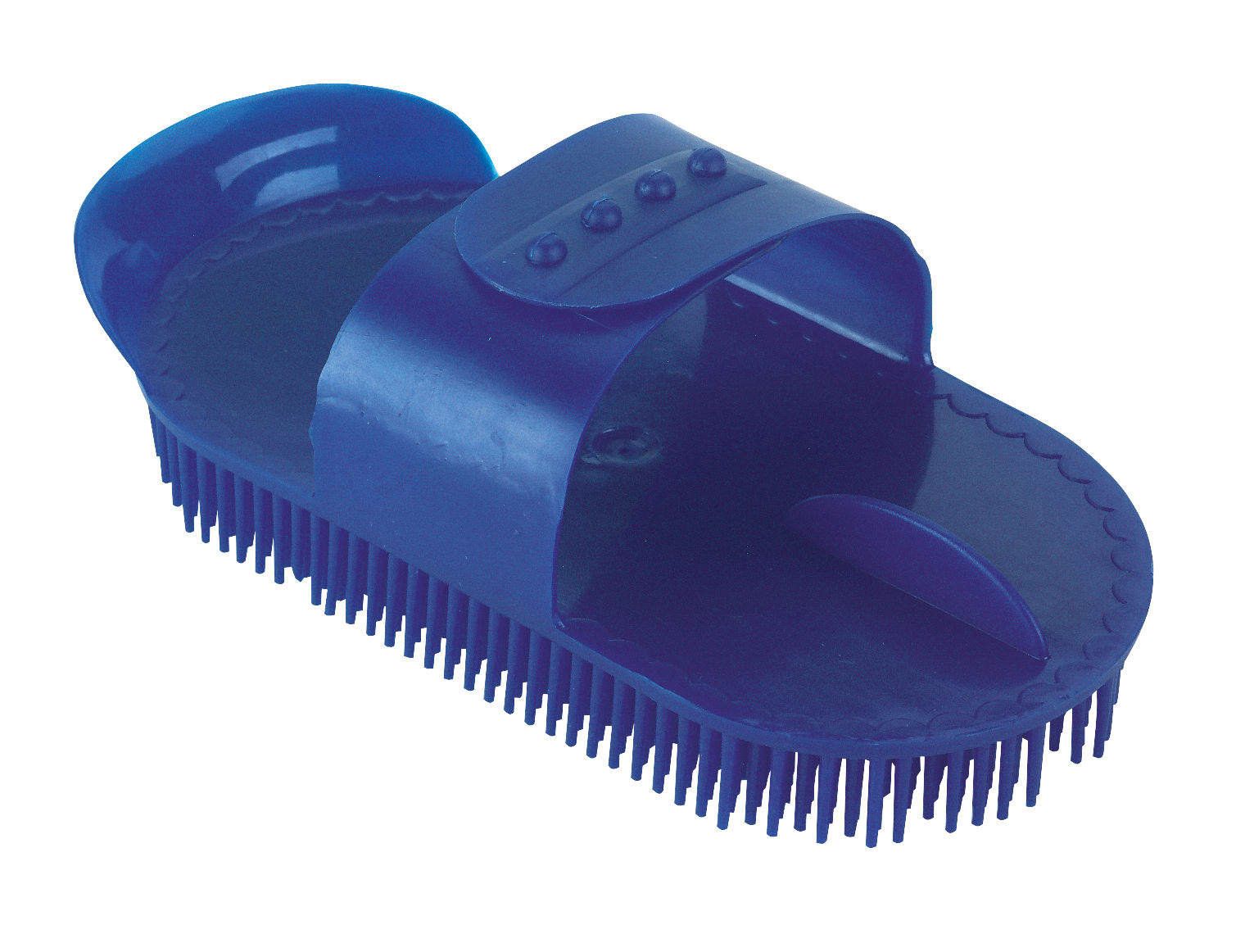 Kunststoffnadelstriegel blau