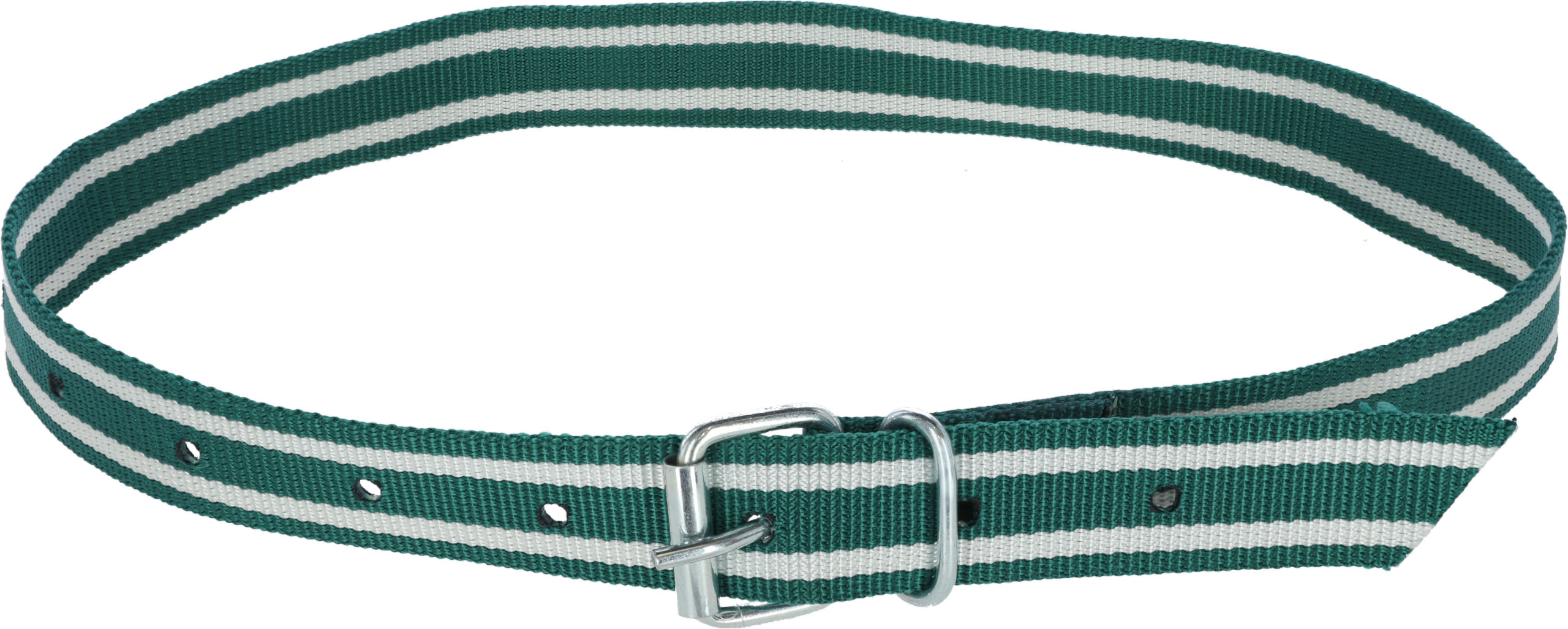 Halsmarkierungsband,120 cm grün/weiß, Rollschnalle