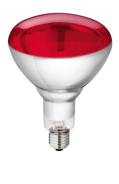 Hartglaslampe "Philips" 250W 240V, rot