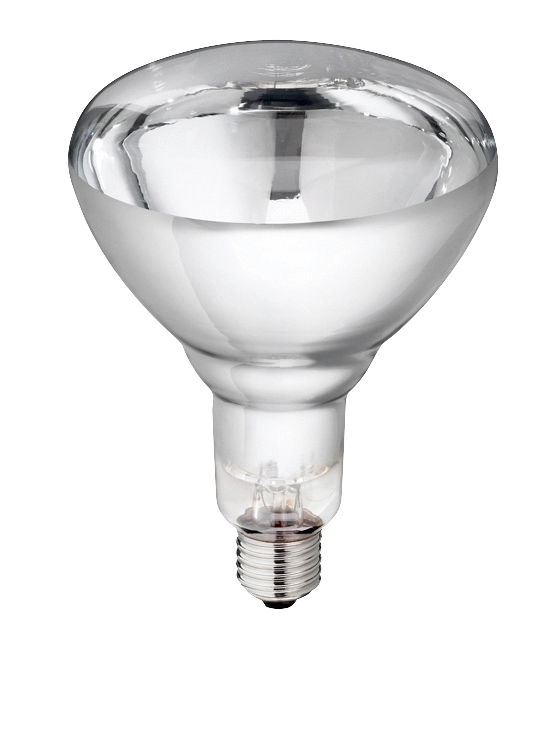 Hartglaslampe "Philips" 250W 240V, klar