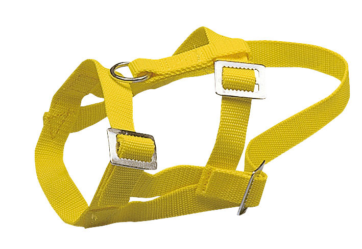 Kopfhalfter für Schafe + Böcke Nylon, gelb