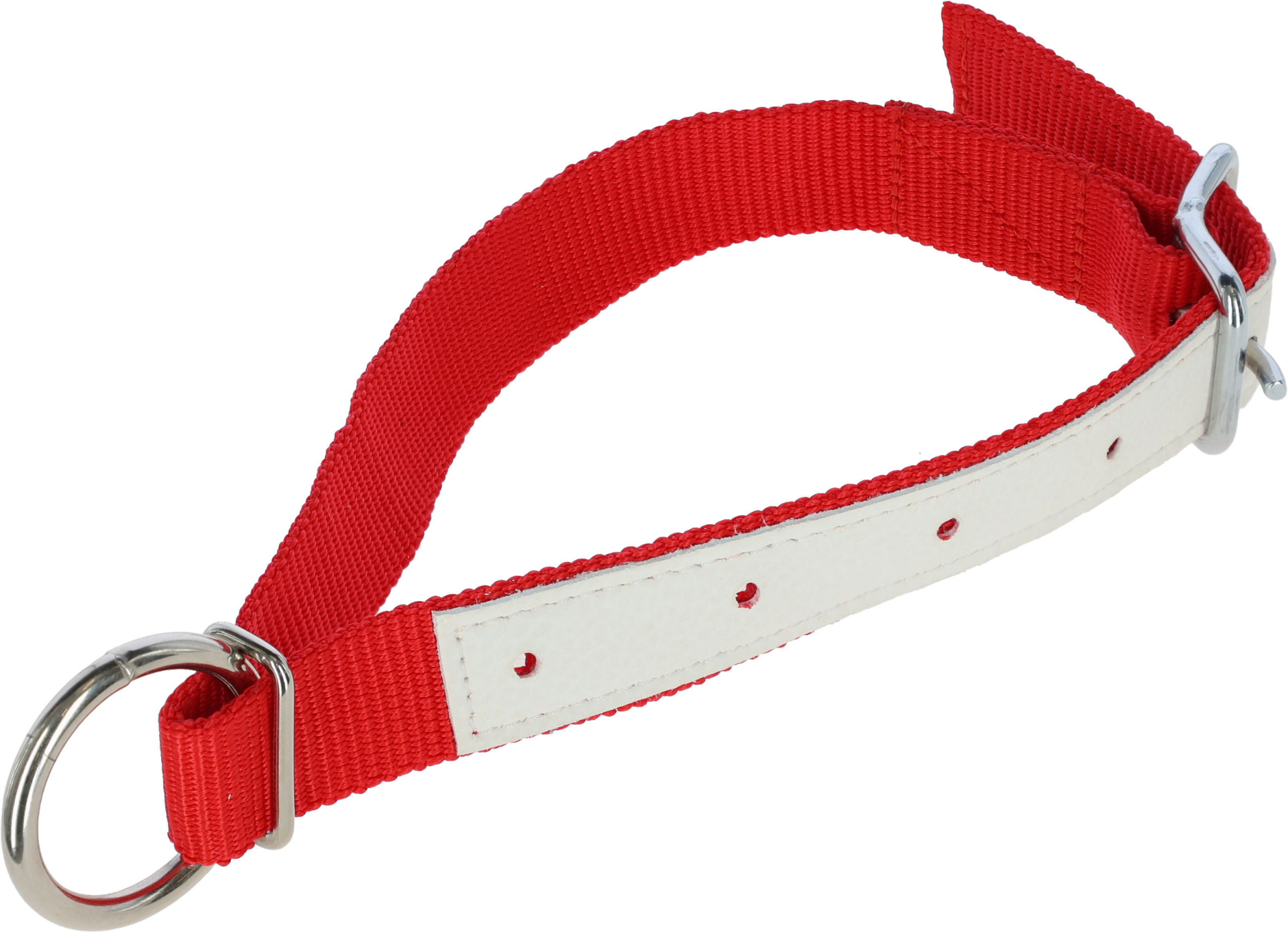 Halsriemen f.Schafe, Nyl. 60cm - rot -