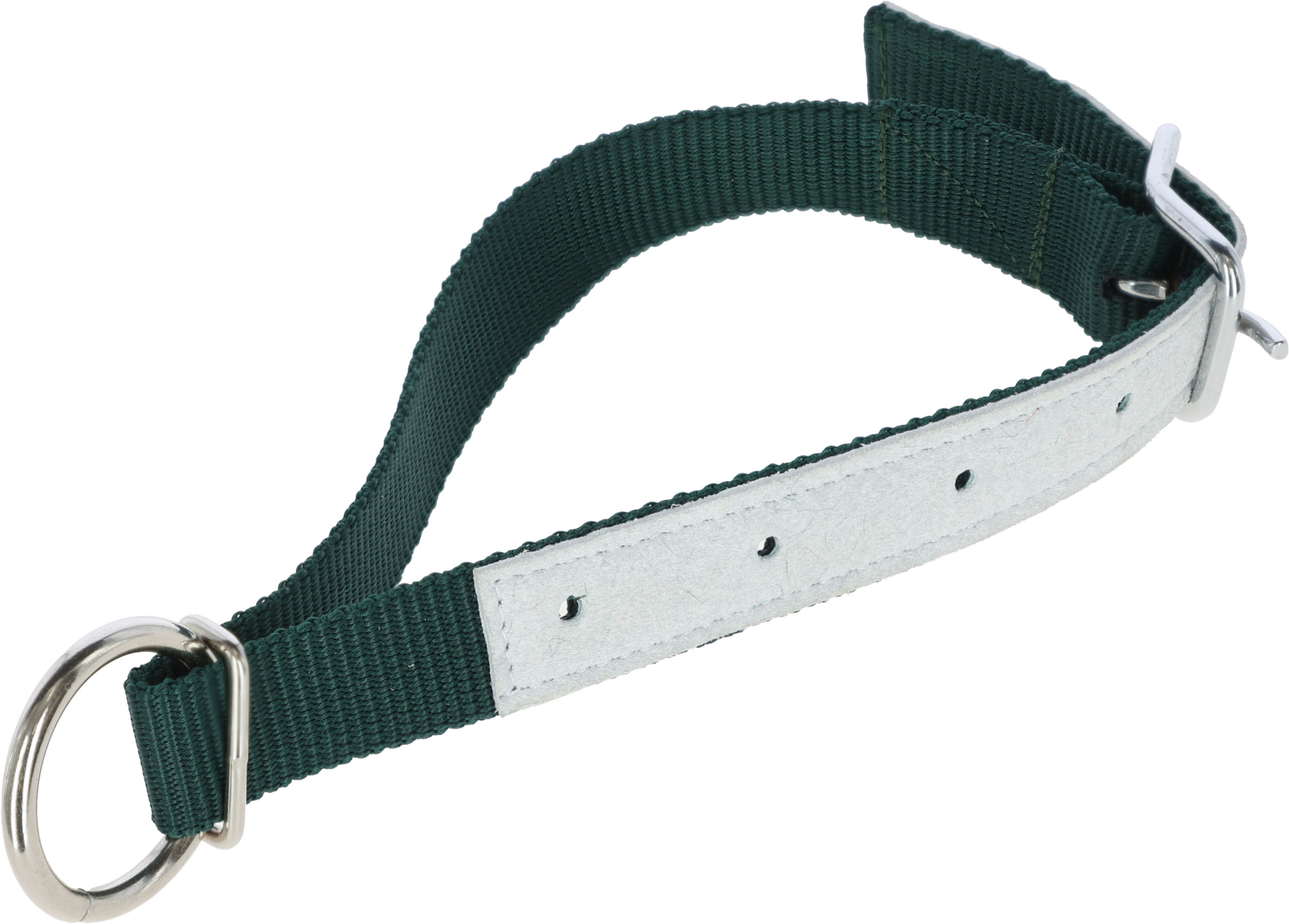 Halsriemen f.Schafe, Nyl. 60cm - grün -