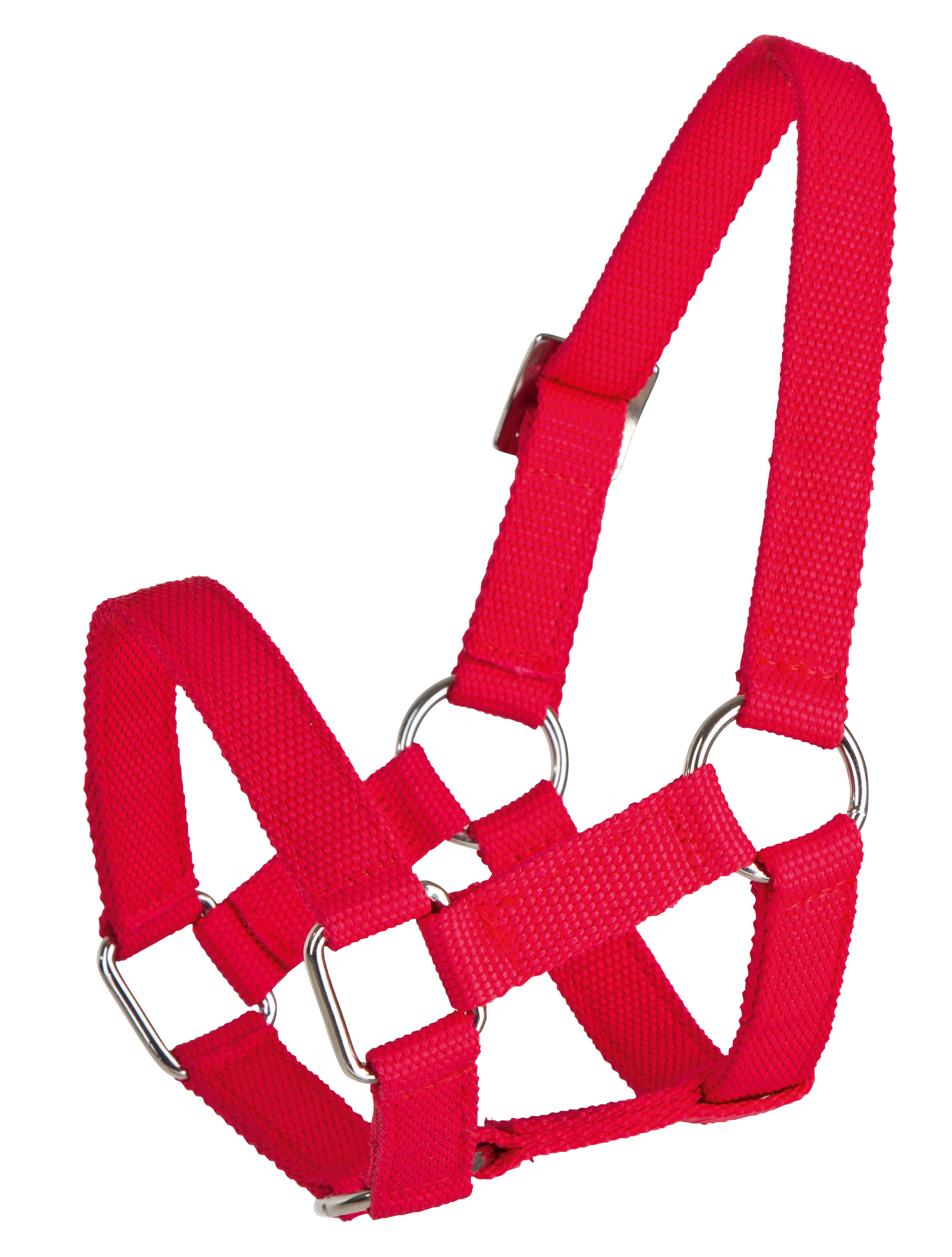 Kopfhalfter für Schafe, rot PP, 20mm