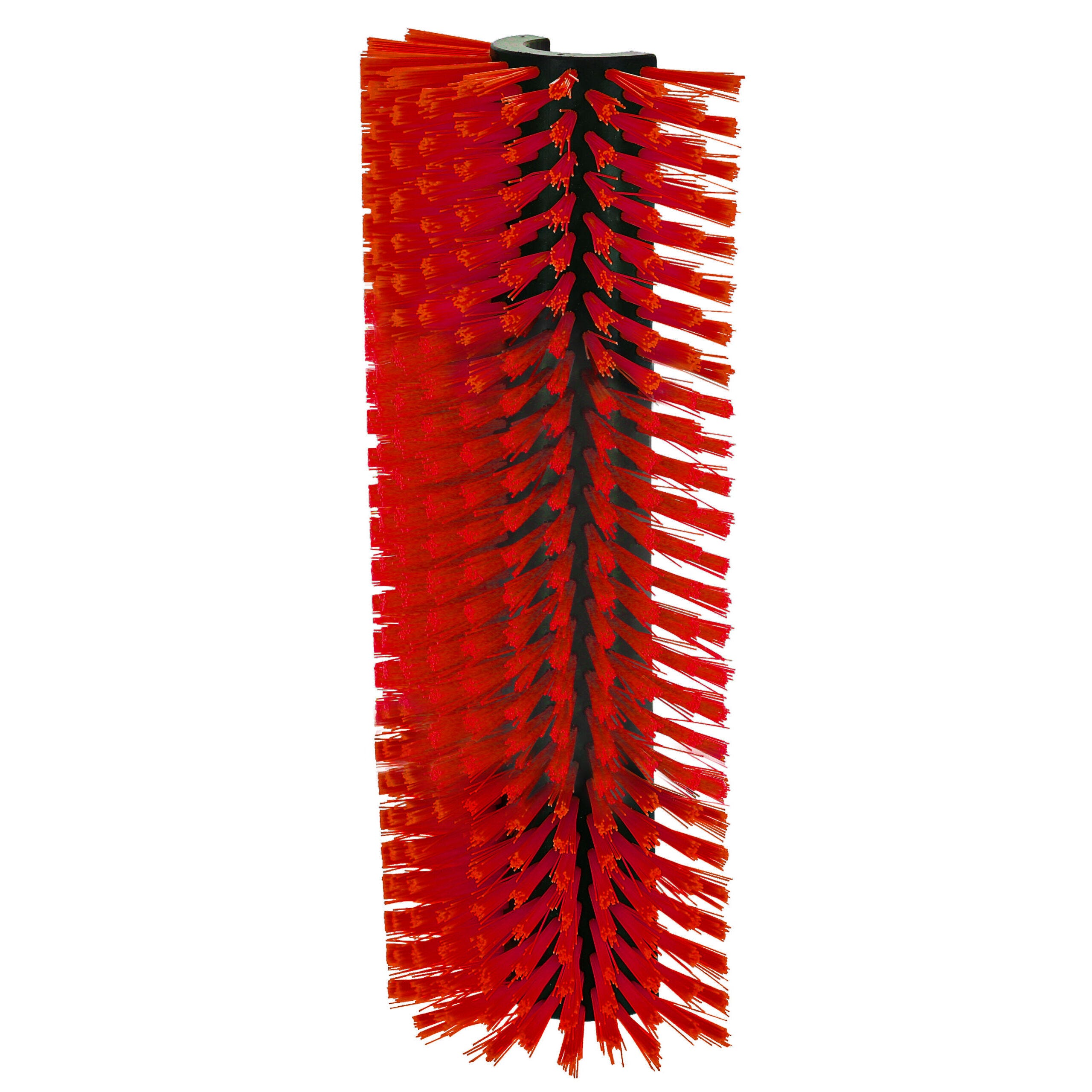 Kratzbürste Benny, 19 cm x 45 cm