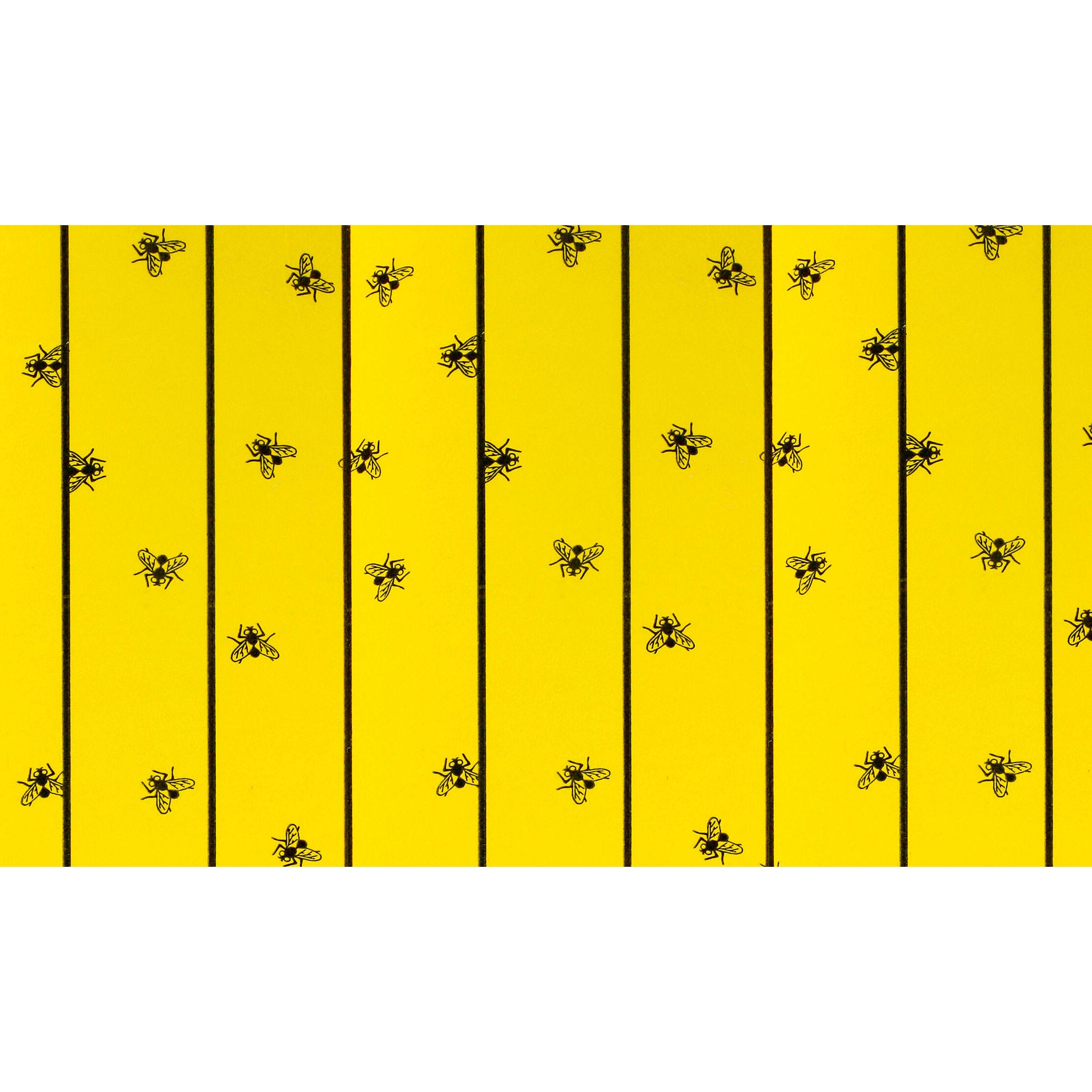 Fliegenfalle FlyMaster 6 Stk., 595x300 mm