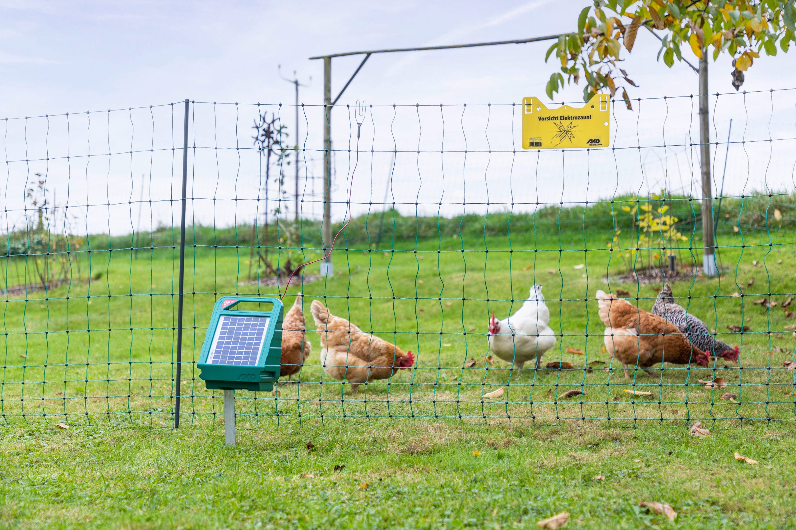 Geflügelnetz-Set 50 m, grün inkl. Solargerät S250+ Zubehör
