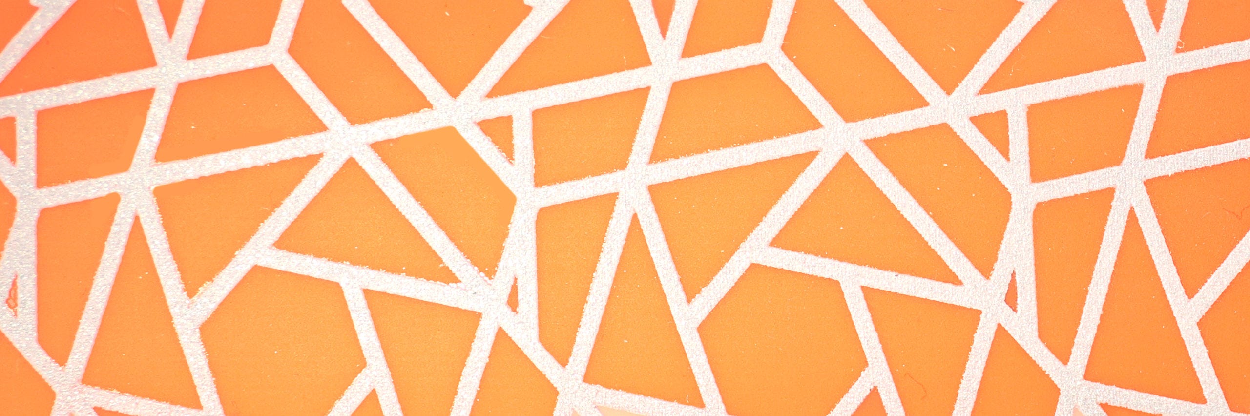 Leine Puno, orange, 25mm x 100 cm