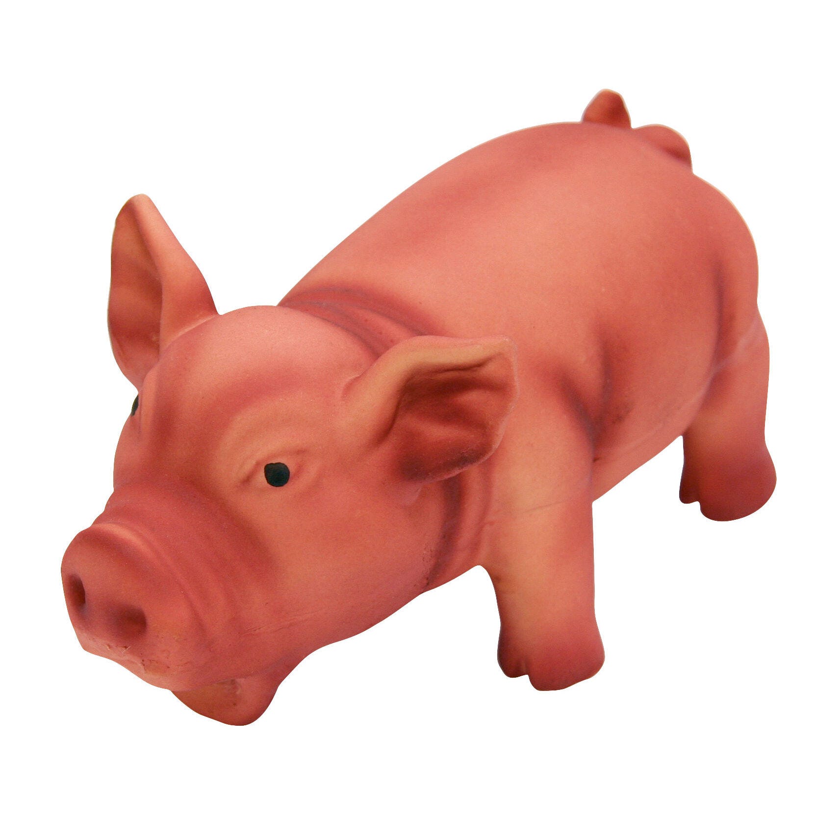 Latexschwein m. Grunzton, 15cm farblich sortiert
