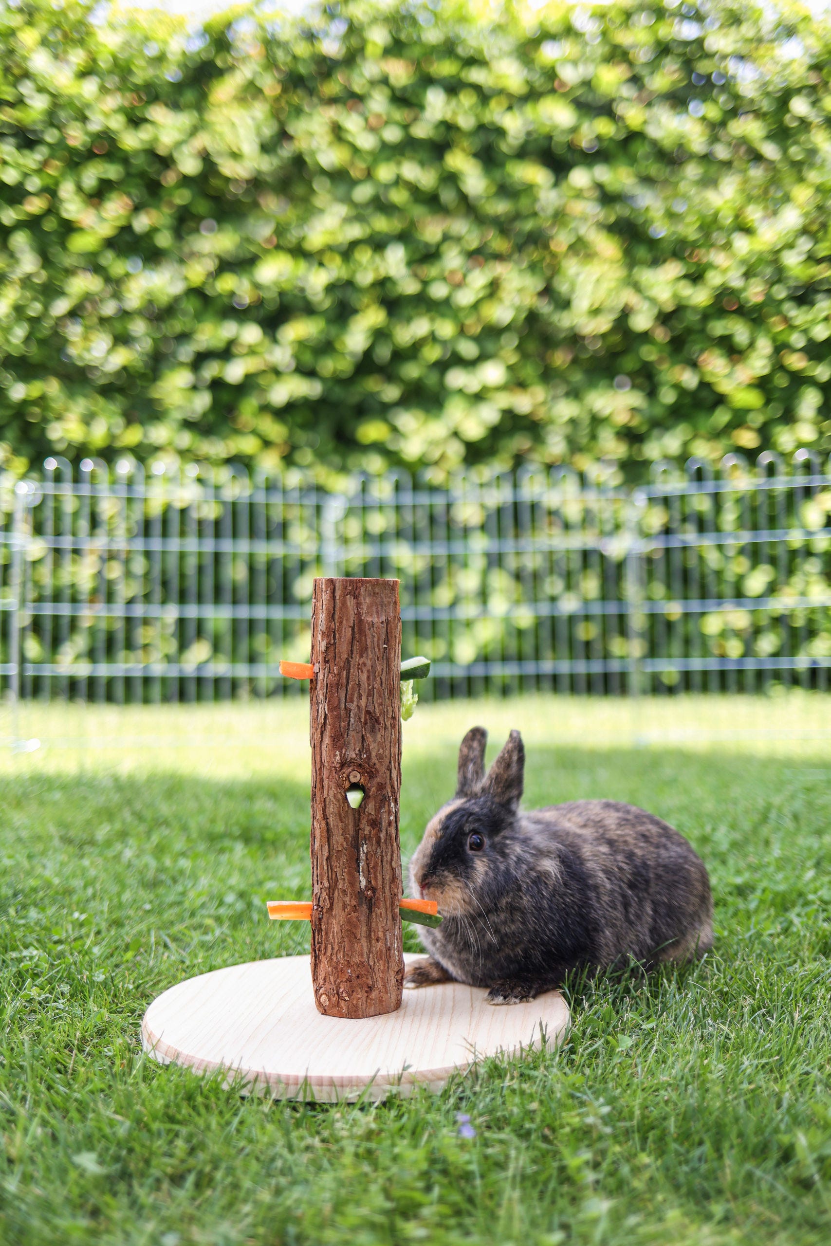 Futterbaum NATURE, Höhe: 30 cm