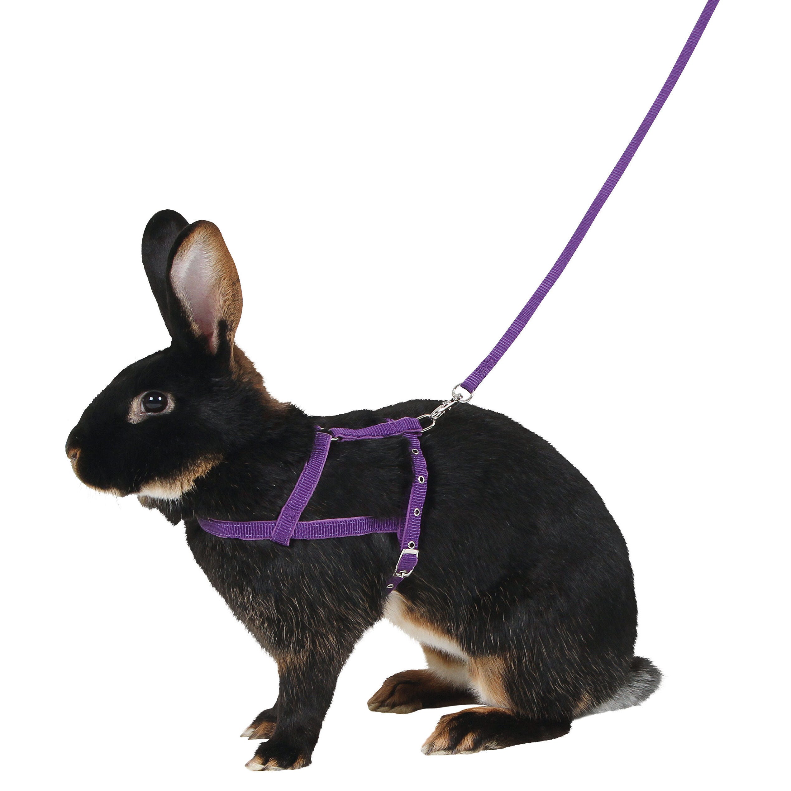 Schultergeschirr Agility