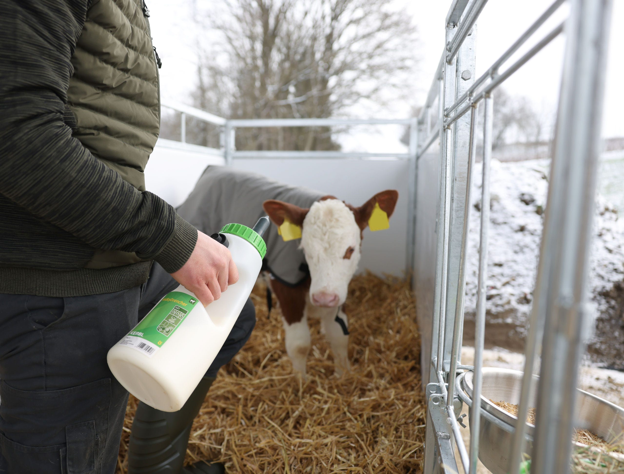 Kälberflasche MilkyFeeder