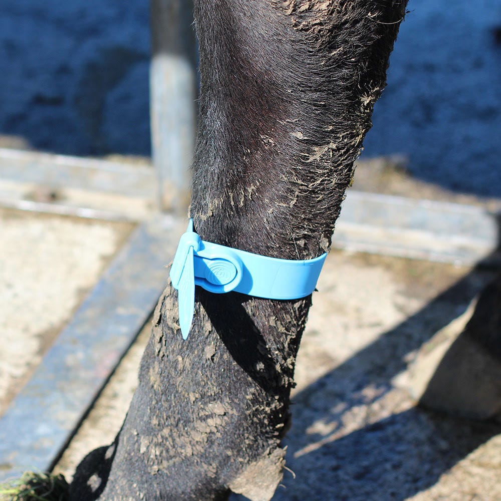 Fesselmarkierungsband Quick Strap
