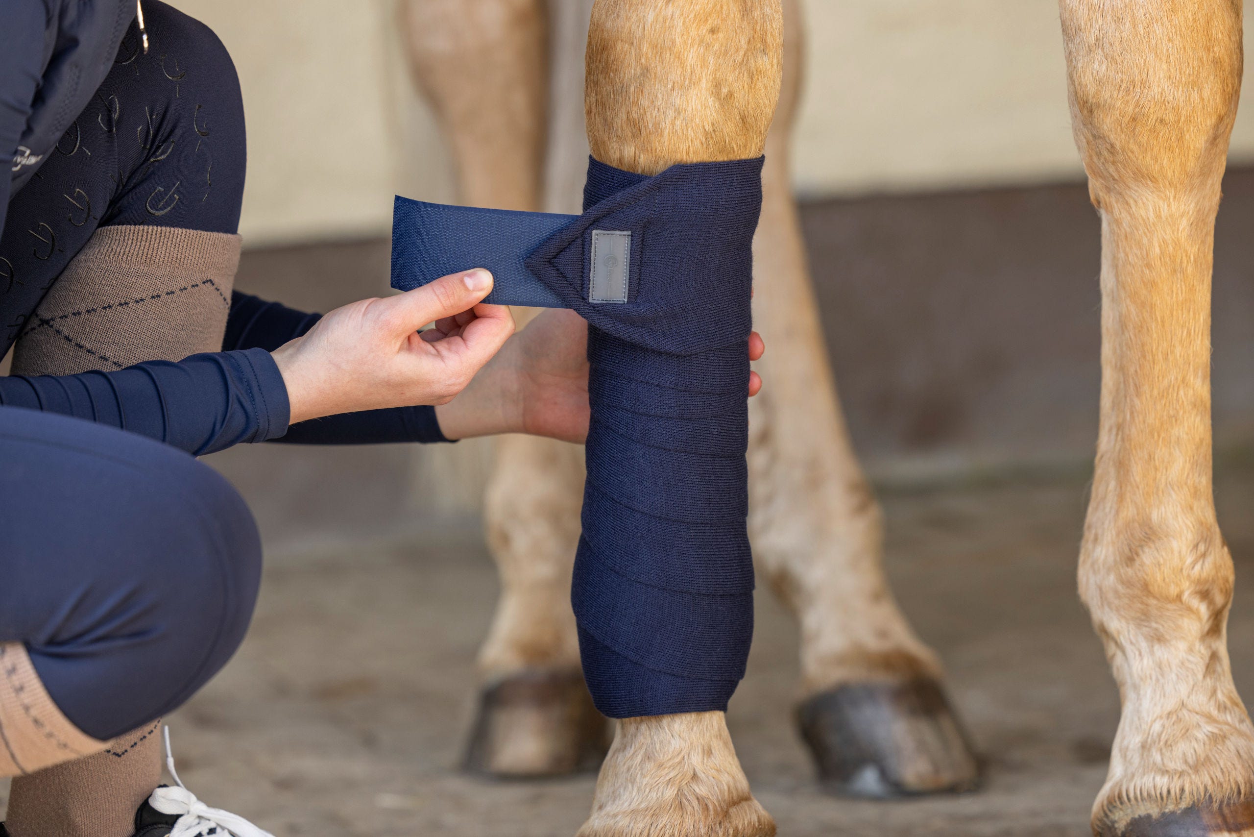Transport- und Stallbandage