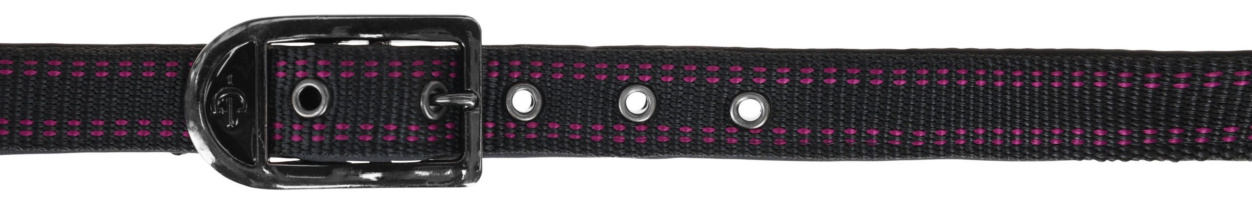 Pferdehalfter Royal