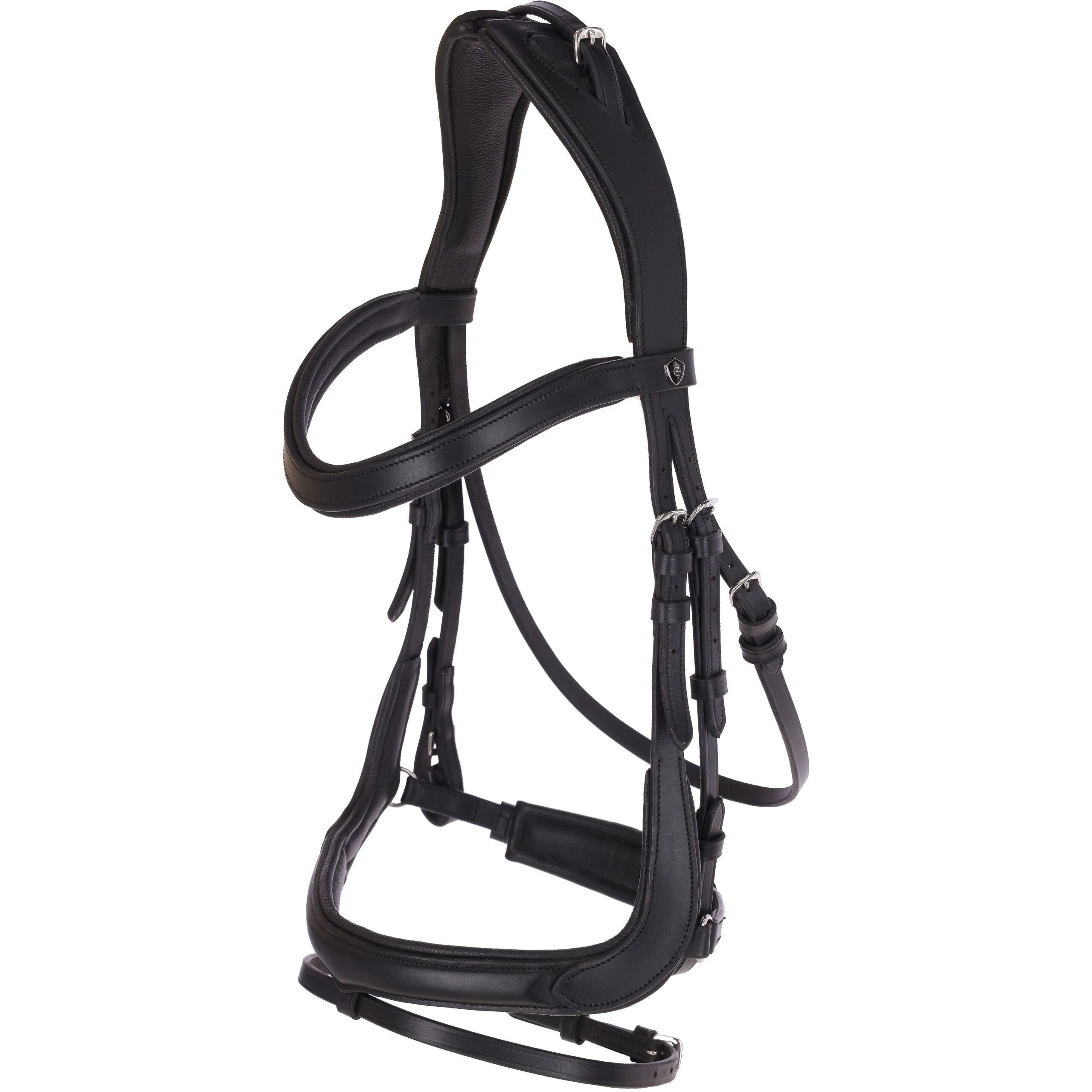 Trensenzaum Anatomic