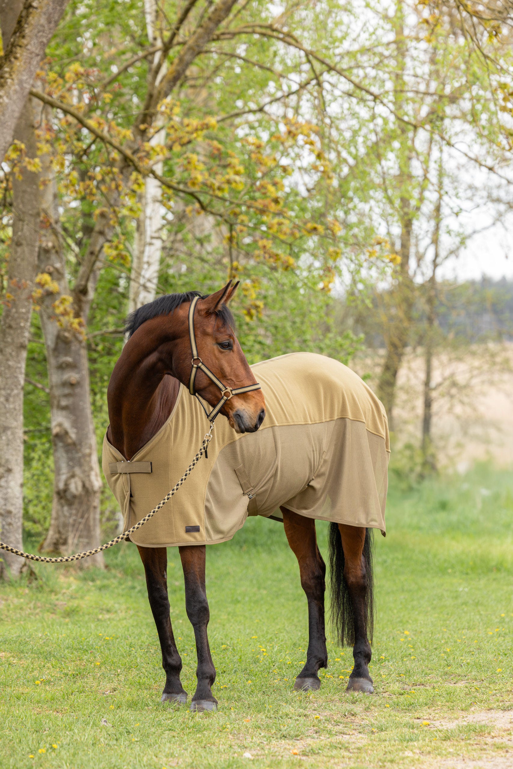 Abschwitzdecke