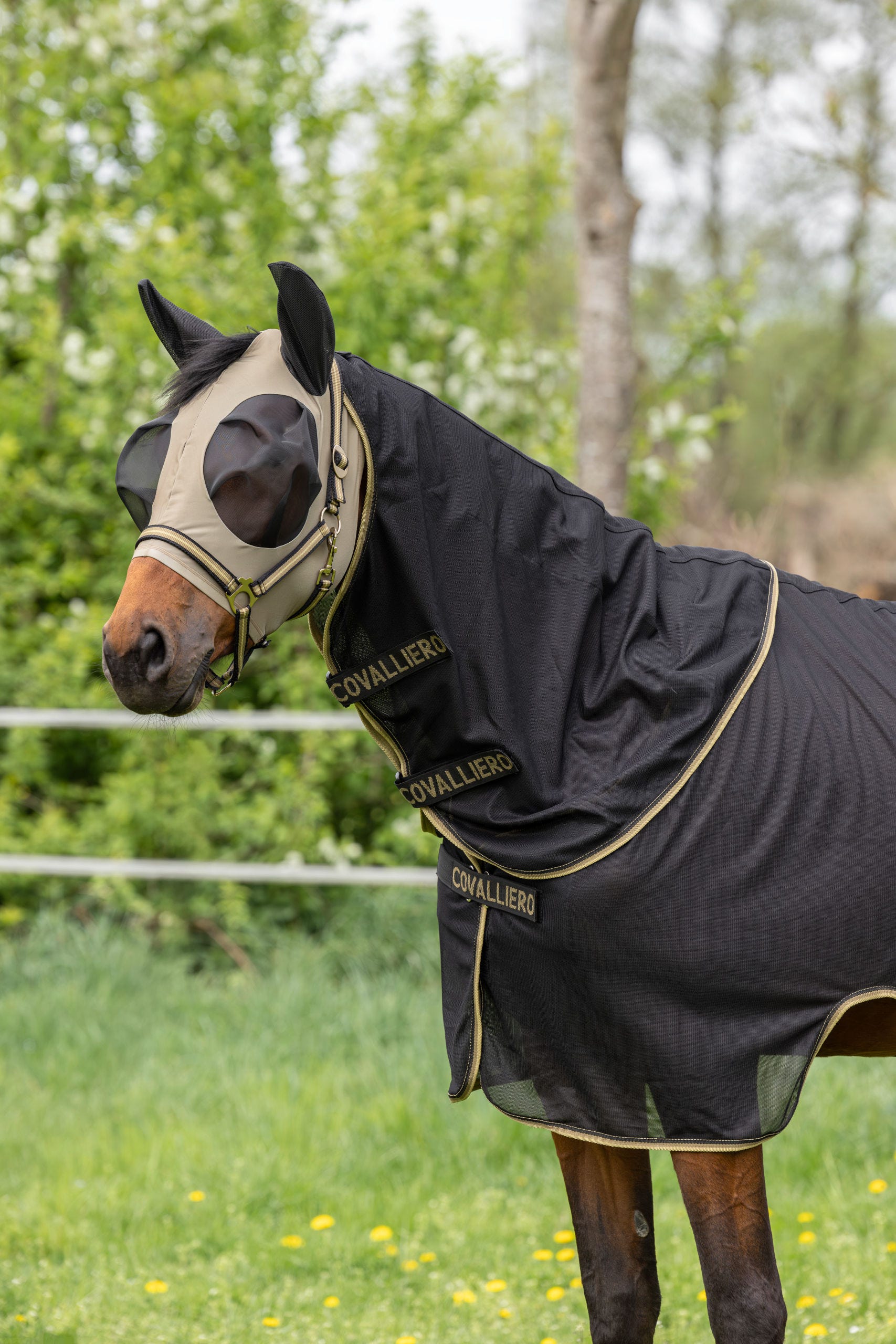 FinoStretch Zipper