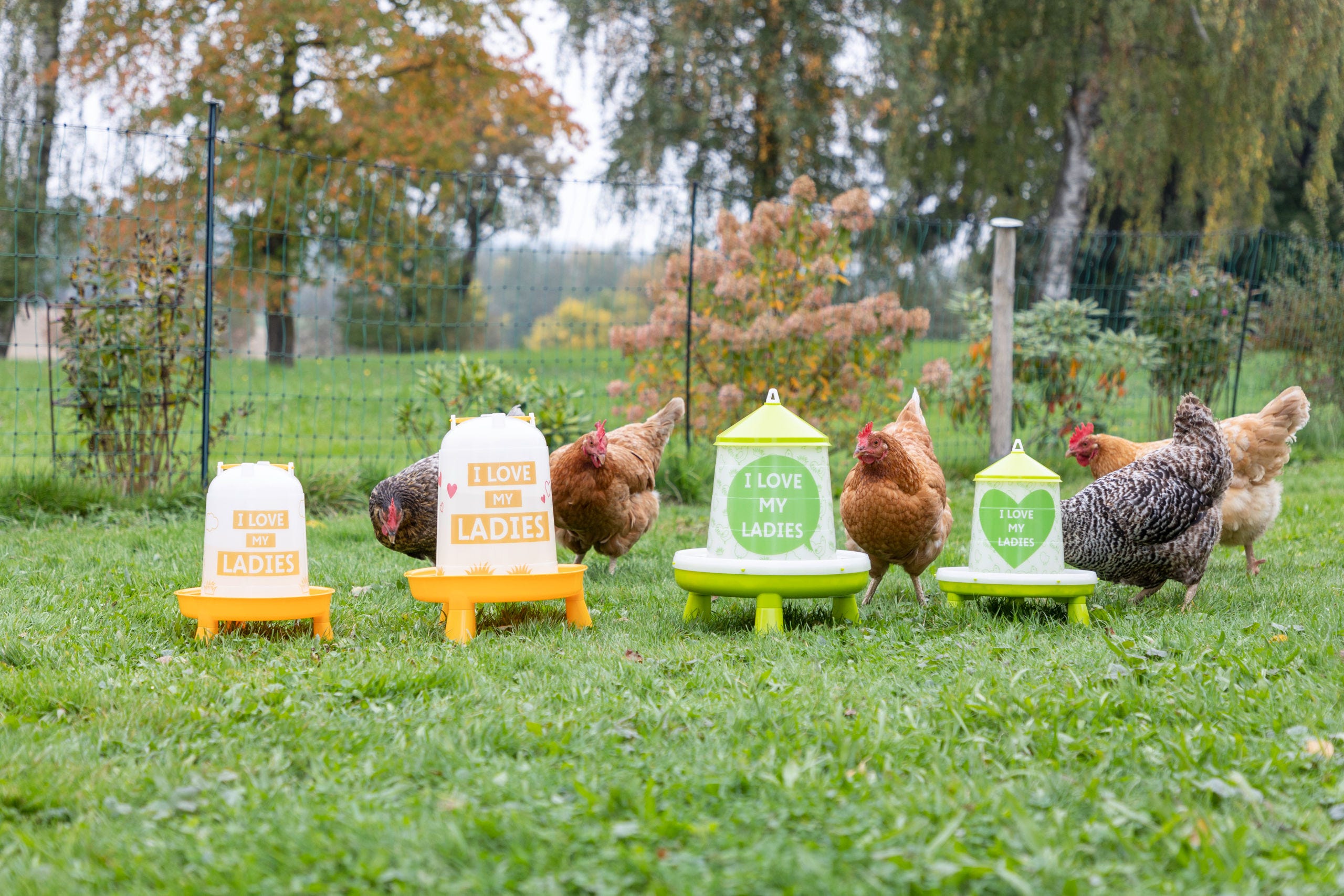 Futterautomat mit Motiv Ladies