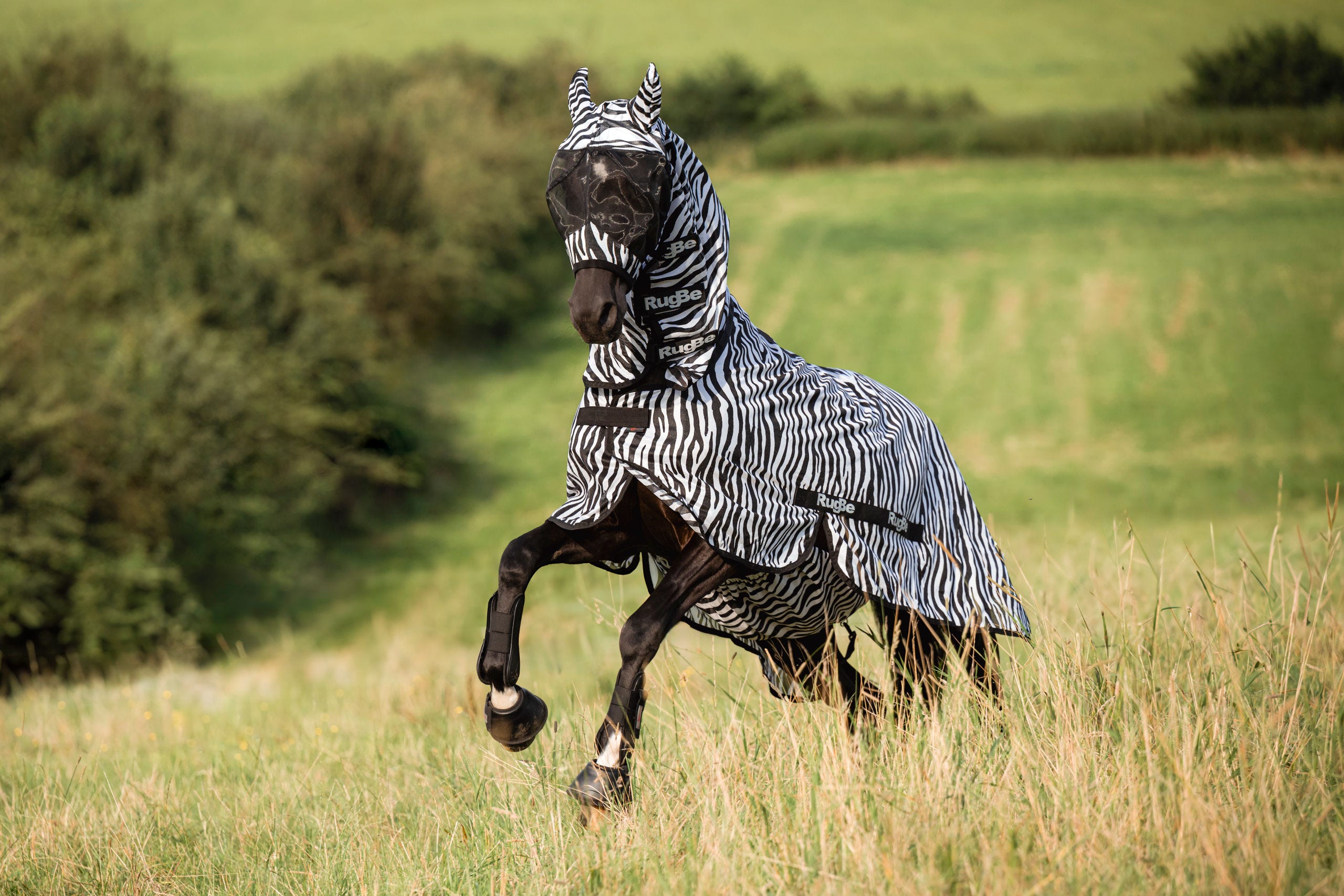 Fliegenschutzmaske Zebra mit Ohrenschutz