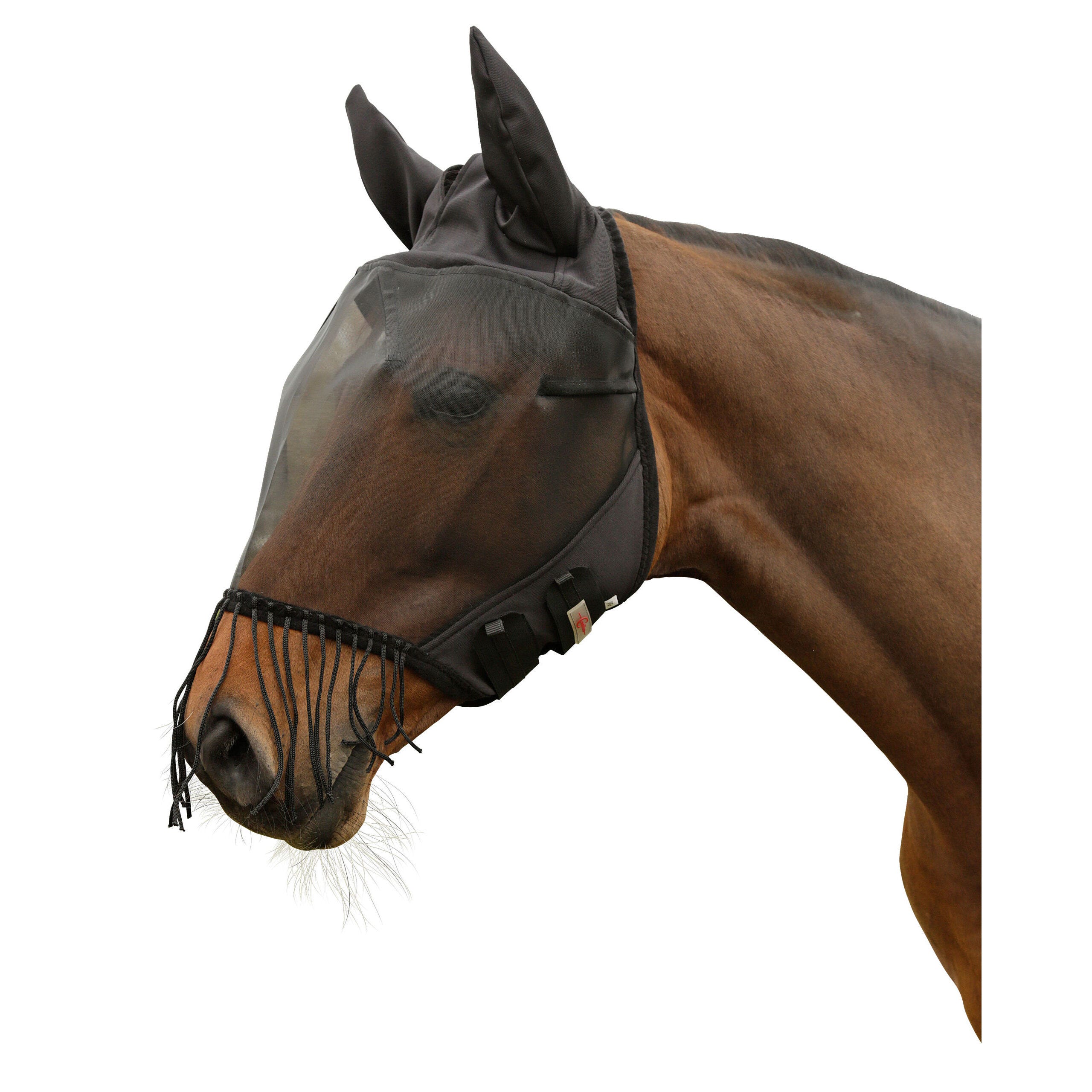Fliegenmaske mit Ohrenschutz und Nüsternkordel
